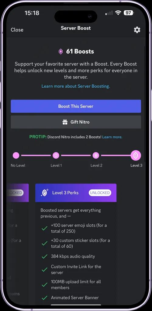 Discord Boost Interface